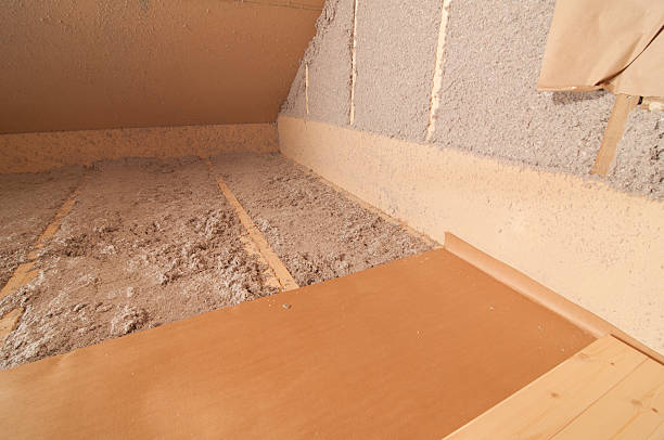 Best Insulation Contractor Near Me  in Buena Vista, GA